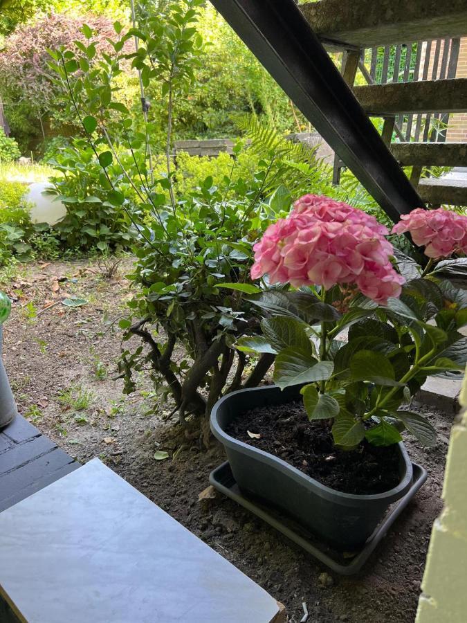 Appartement & Aparts Am Schloss Park *